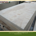 Carb Fsc Certificate White Birch Plywood for Furniture